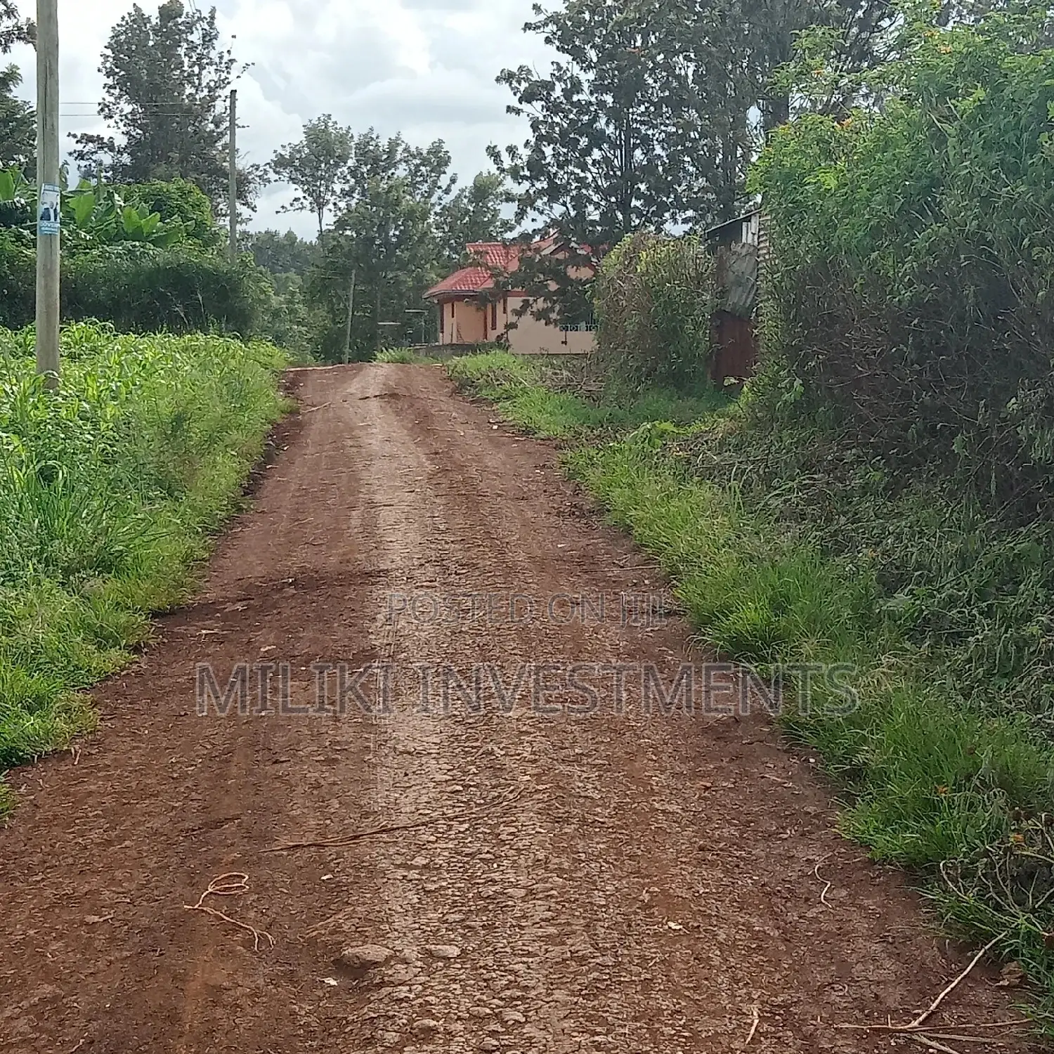Large Kenol Property - 40x80 Sq Meters Plot Available in Kimorori/Wempa