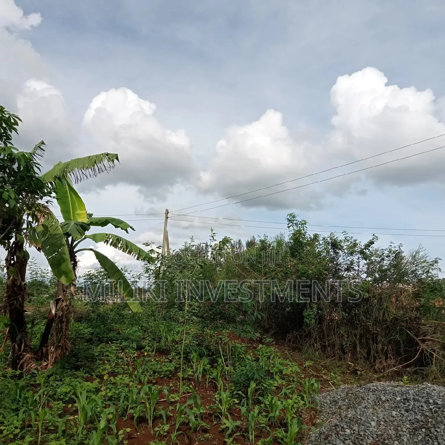 Large Kenol Property - 40x80 Sq Meters Plot Available in Kimorori/Wempa