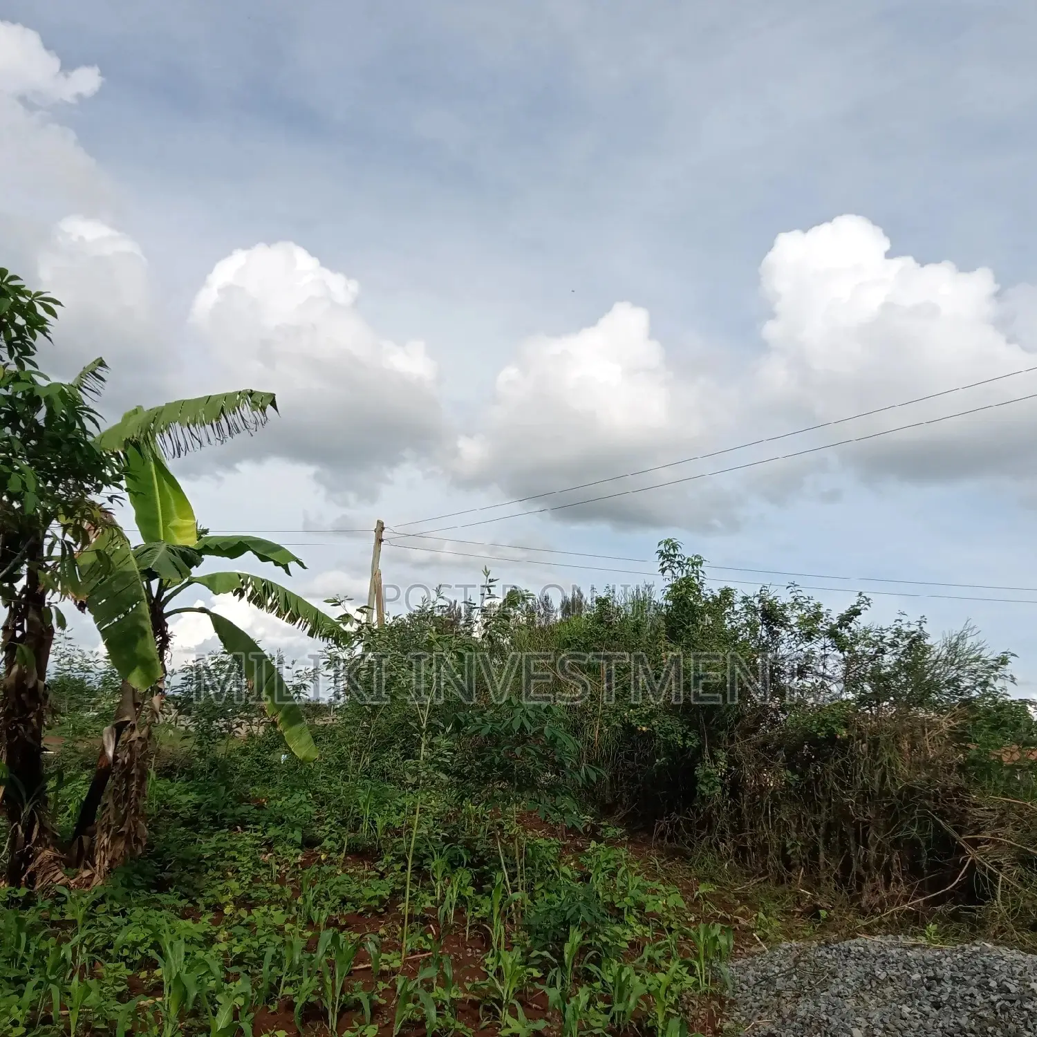 Large Kenol Property - 40x80 Sq Meters Plot Available in Kimorori/Wempa