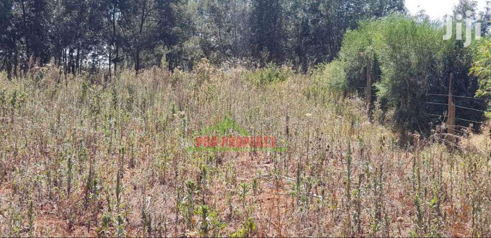 Spacious 50 by 100ft Residential Plots in Kikuyu, Limuru, Mutarakwa in Kikuyu