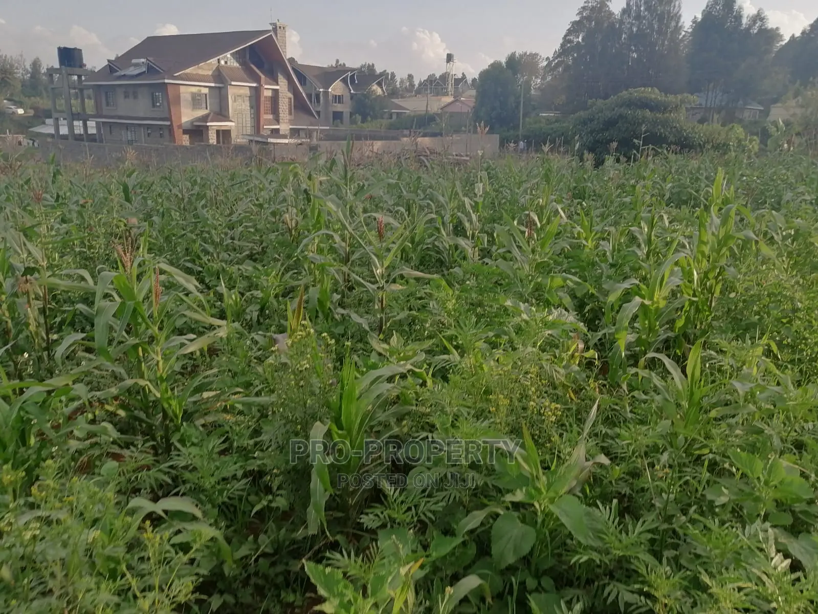 Prime Land Half Acre in Kikuyu, Ondiri for Sale in Karai