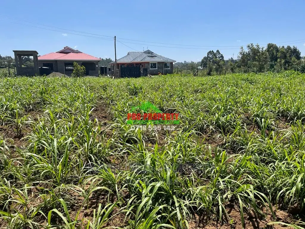 High-Quality 0.05 Ha Residential Plot in Kikuyu, Kamangu for Sale in Karai