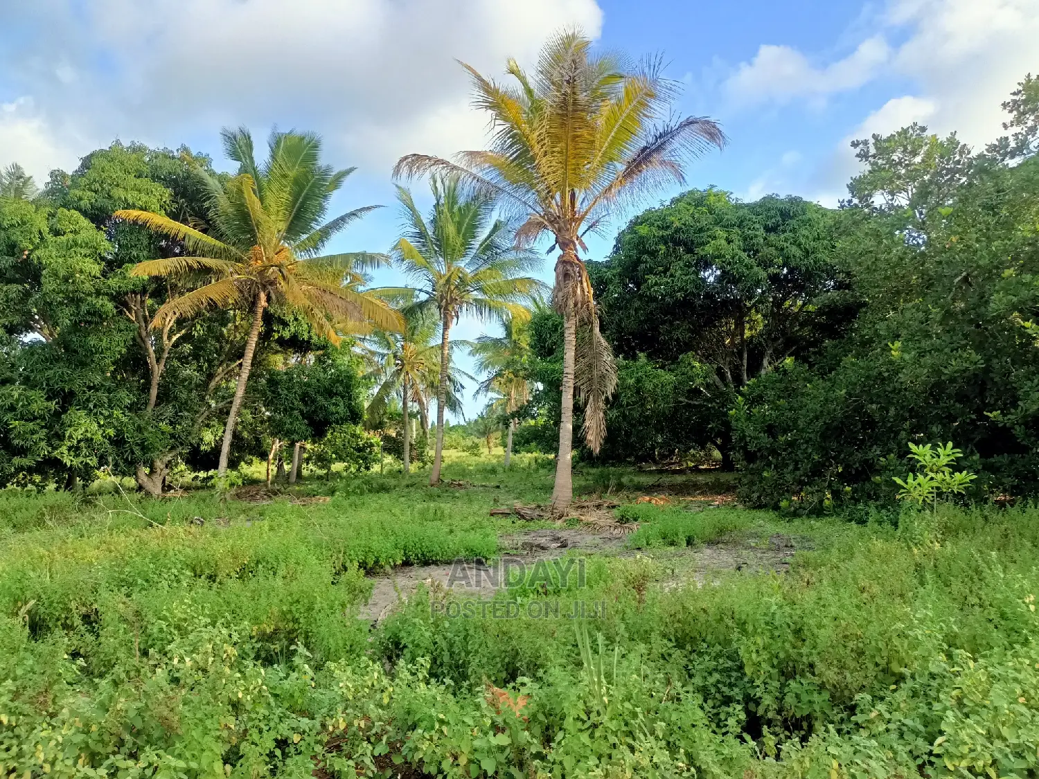 Prime Land for Sale in Kwale-Ng'ombeni in Shika Adabu
