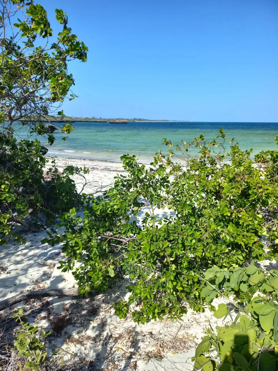 Beachfront Plots for Sale in Matsangoni - Live the Dream in Matsangoni