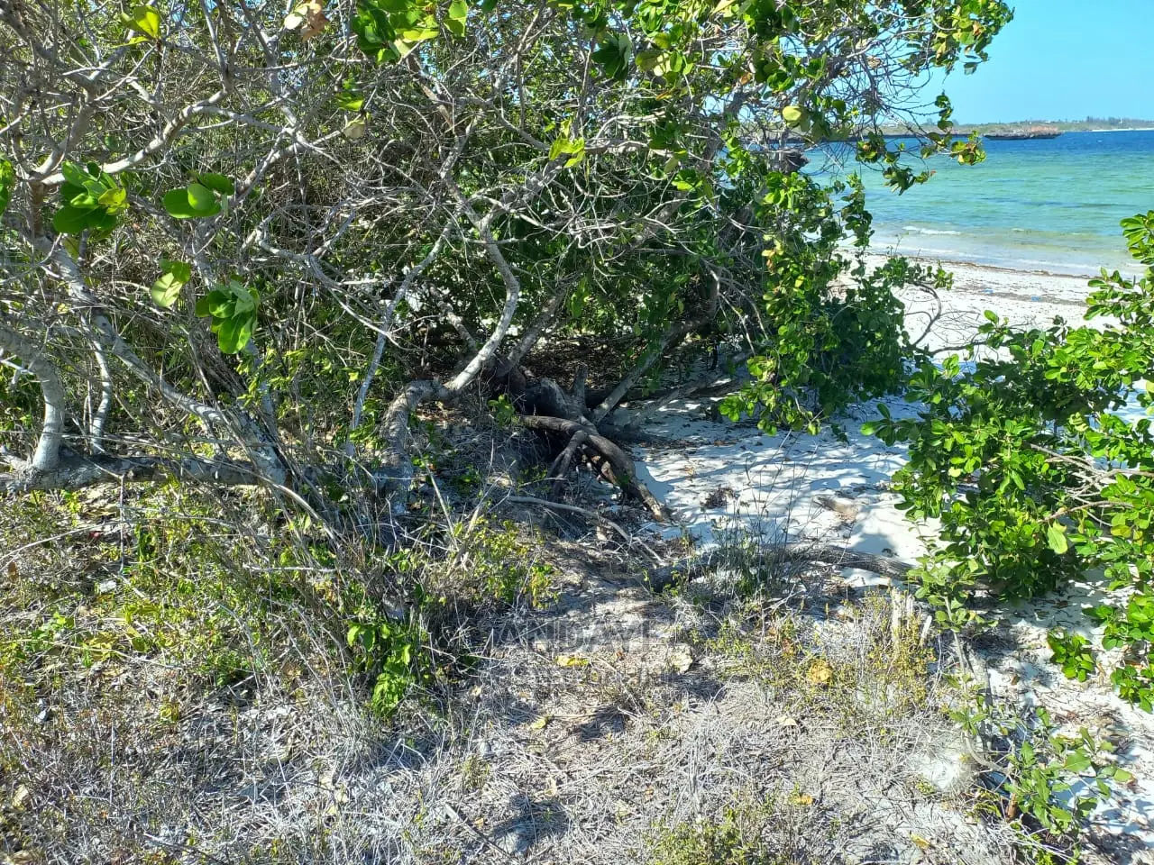 Beachfront Plots for Sale in Matsangoni - Live the Dream in Matsangoni