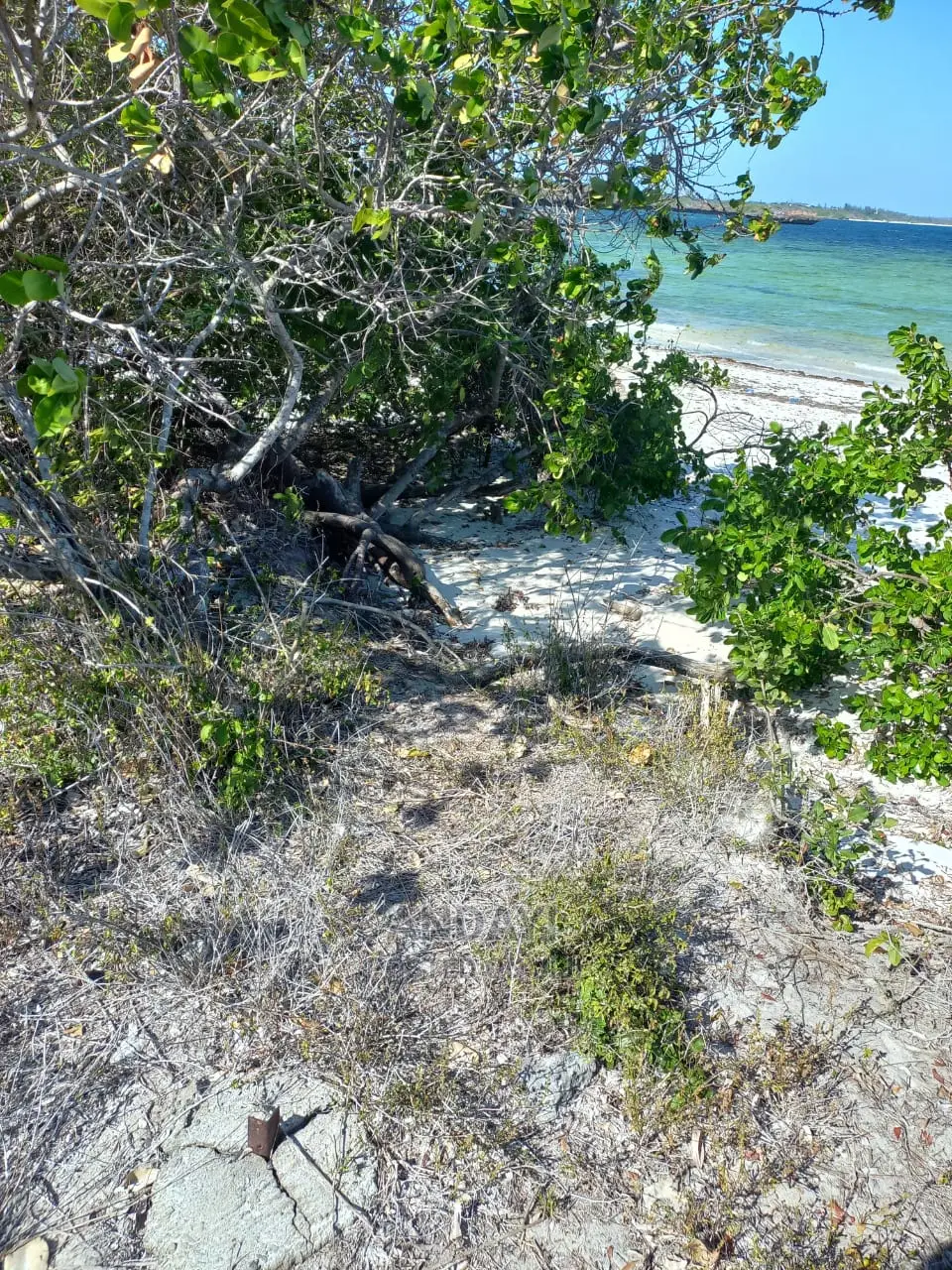Beachfront Plots for Sale in Matsangoni - Live the Dream in Matsangoni