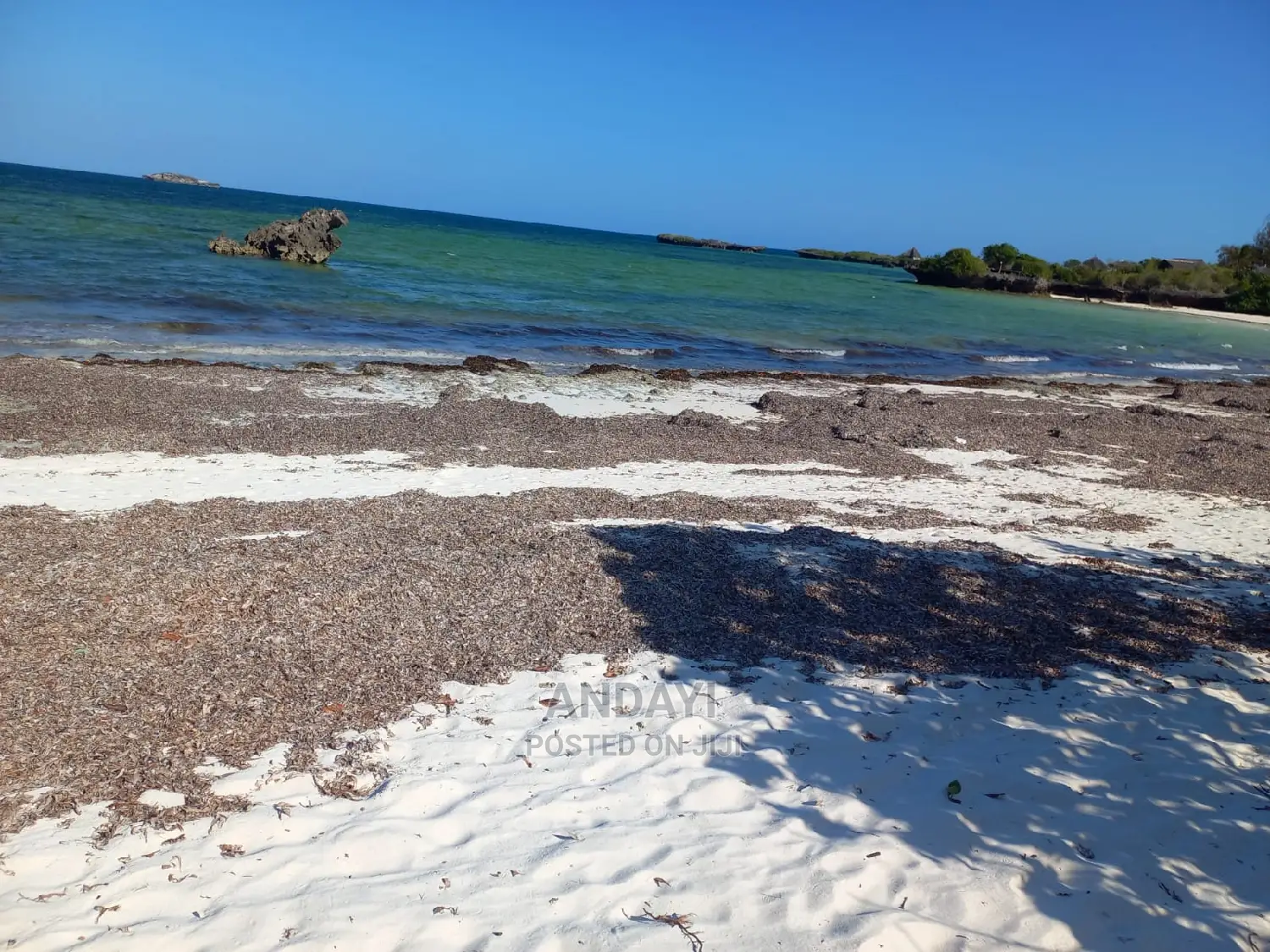 Beachfront Plots for Sale in Matsangoni - Live the Dream in Matsangoni