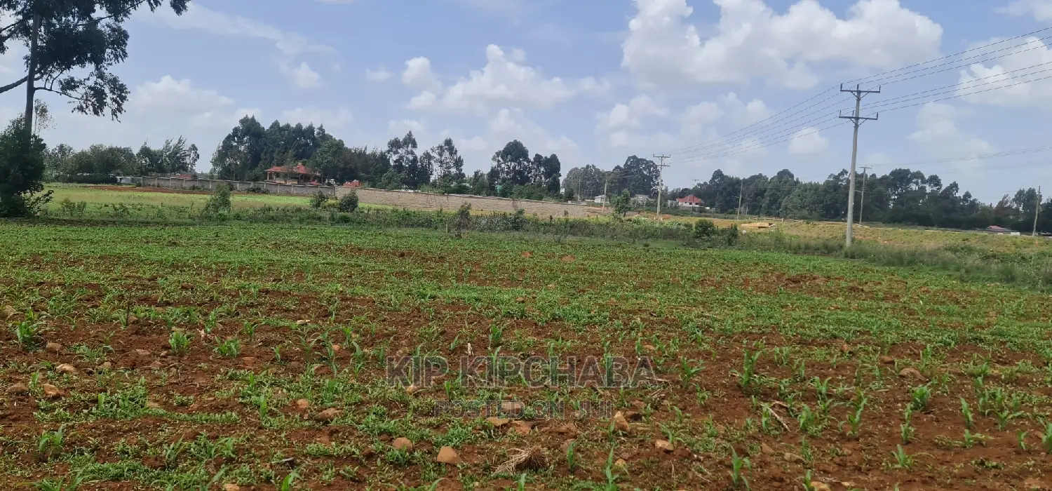 Elgonview, Eldoret: 1-Acre Land for Sale - Ideal Investment Opportunity in Elgon View