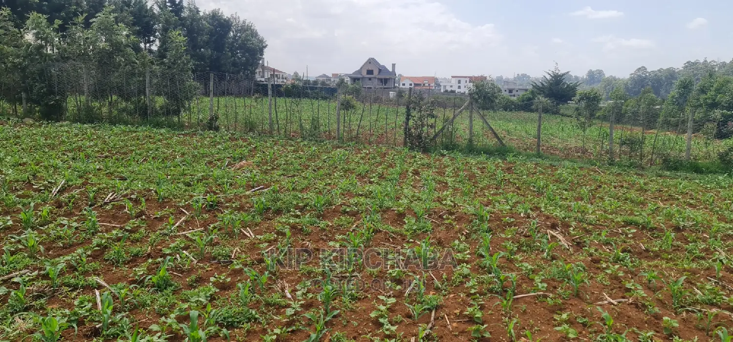 Elgonview, Eldoret: 1-Acre Land for Sale - Ideal Investment Opportunity in Elgon View