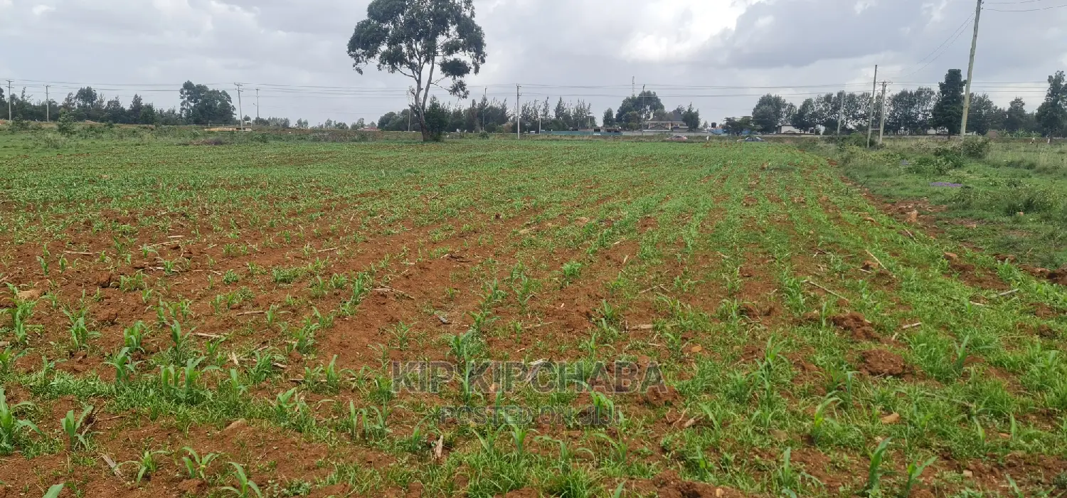 Elgonview, Eldoret: 1-Acre Land for Sale - Ideal Investment Opportunity in Elgon View