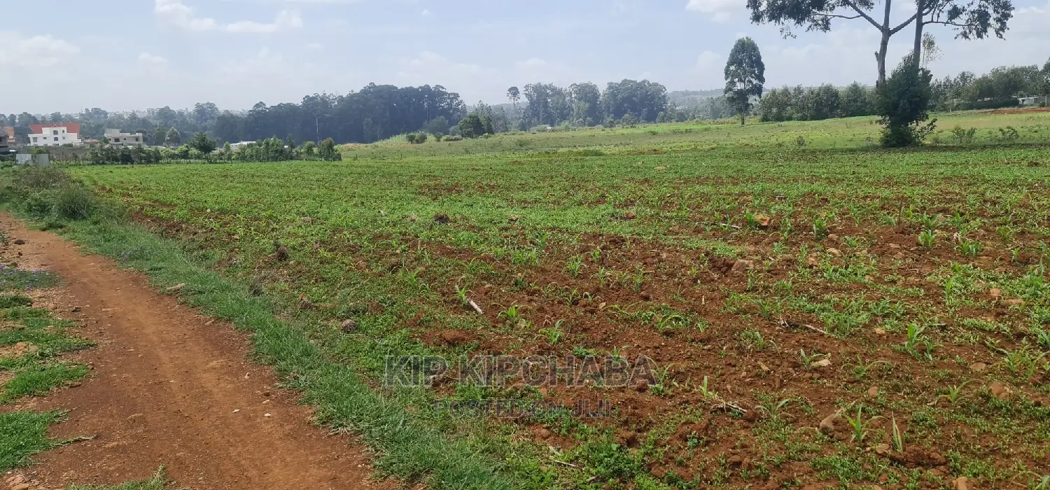 Elgonview, Eldoret: 1-Acre Land for Sale - Ideal Investment Opportunity in Elgon View