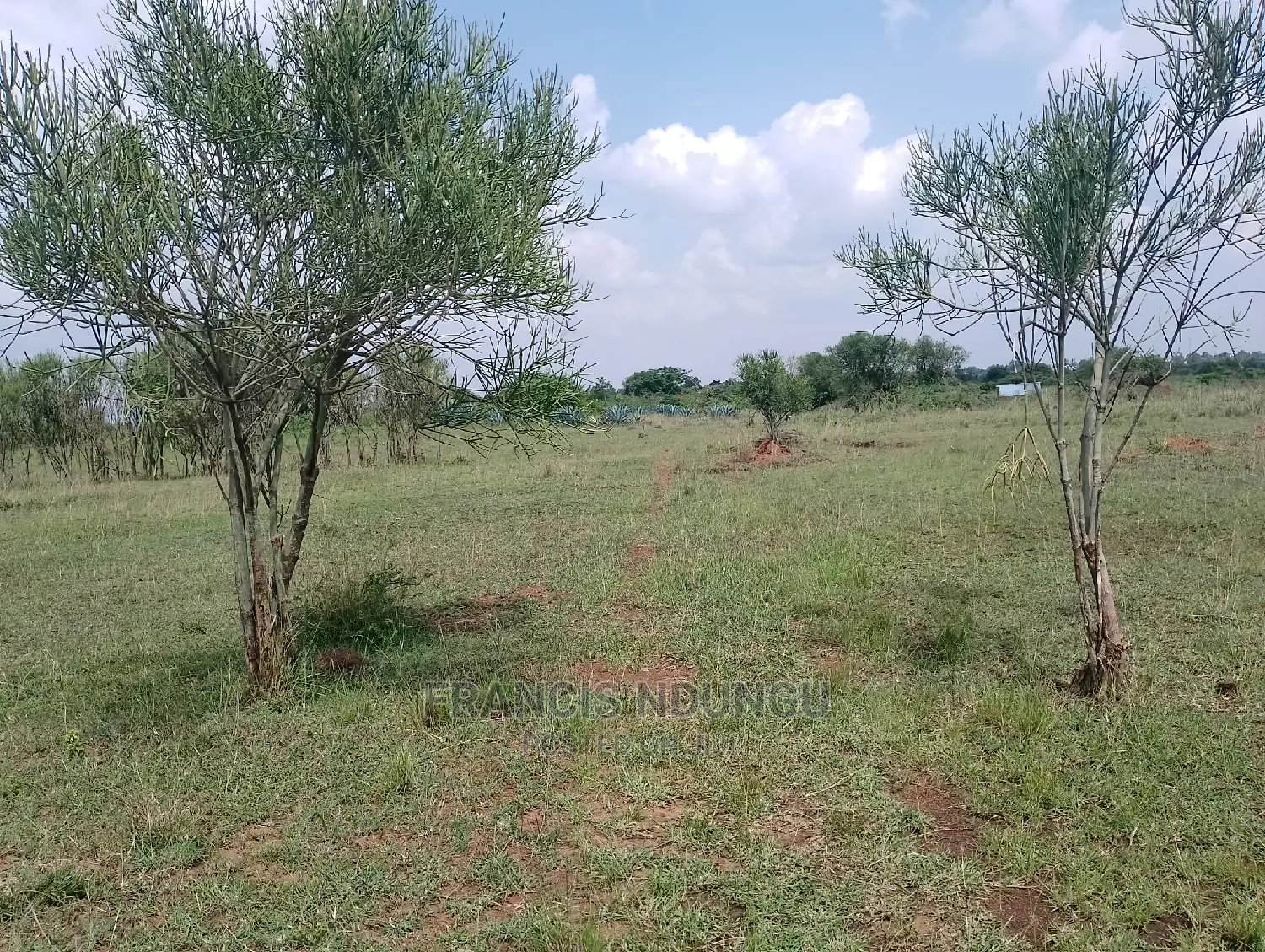 Residential Plots for Sale Ruiru Twiga Estate. in Toll Estate