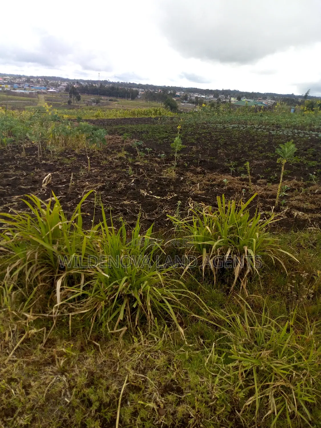 Main Road Accessible 100/100 Plot at Kinangop Flyover - Only 500m Away in Magumu