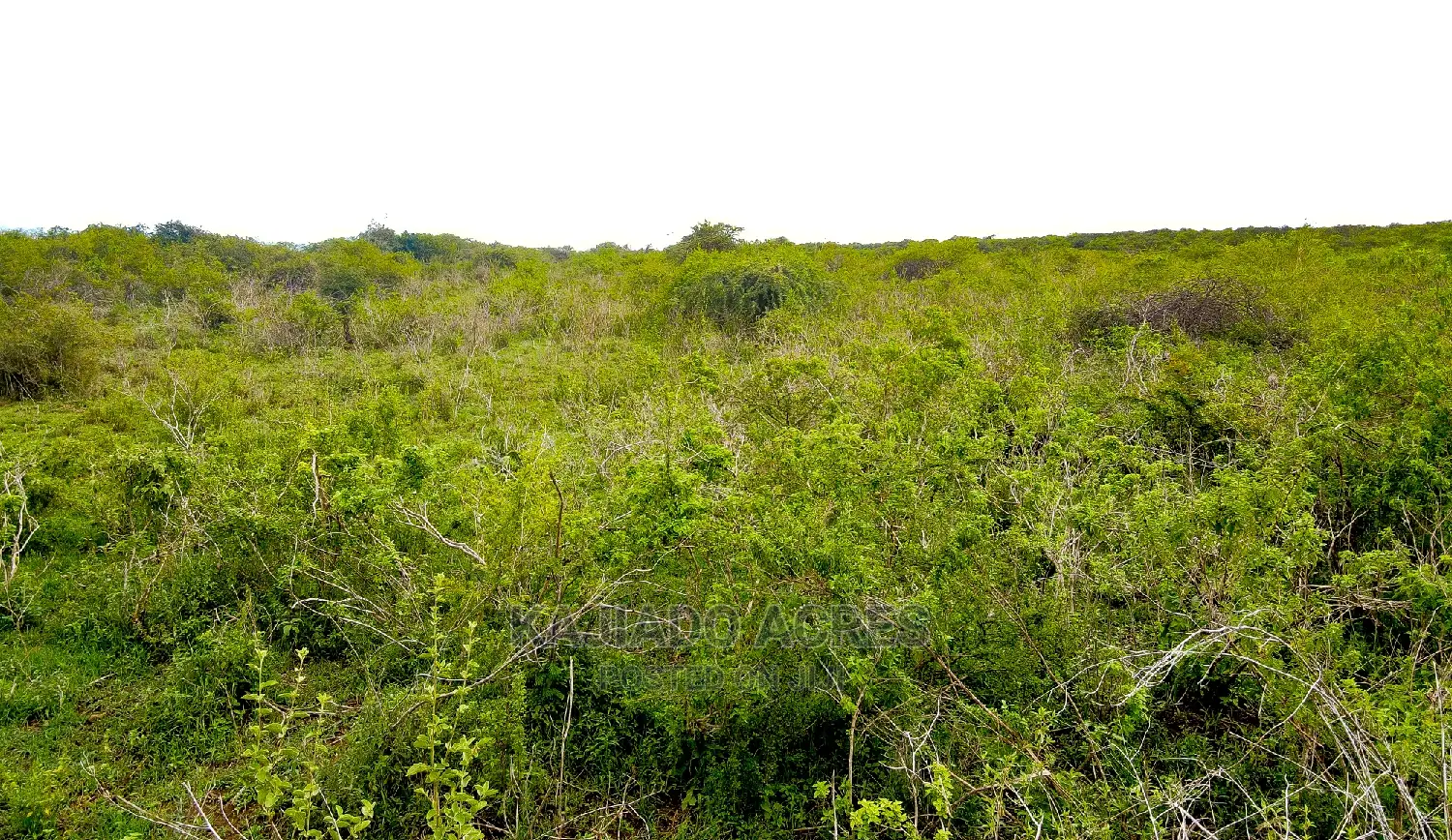 16 Acres of Prime Land for Sale: Lentoko at 450k per Acre in Ewaso Kendong