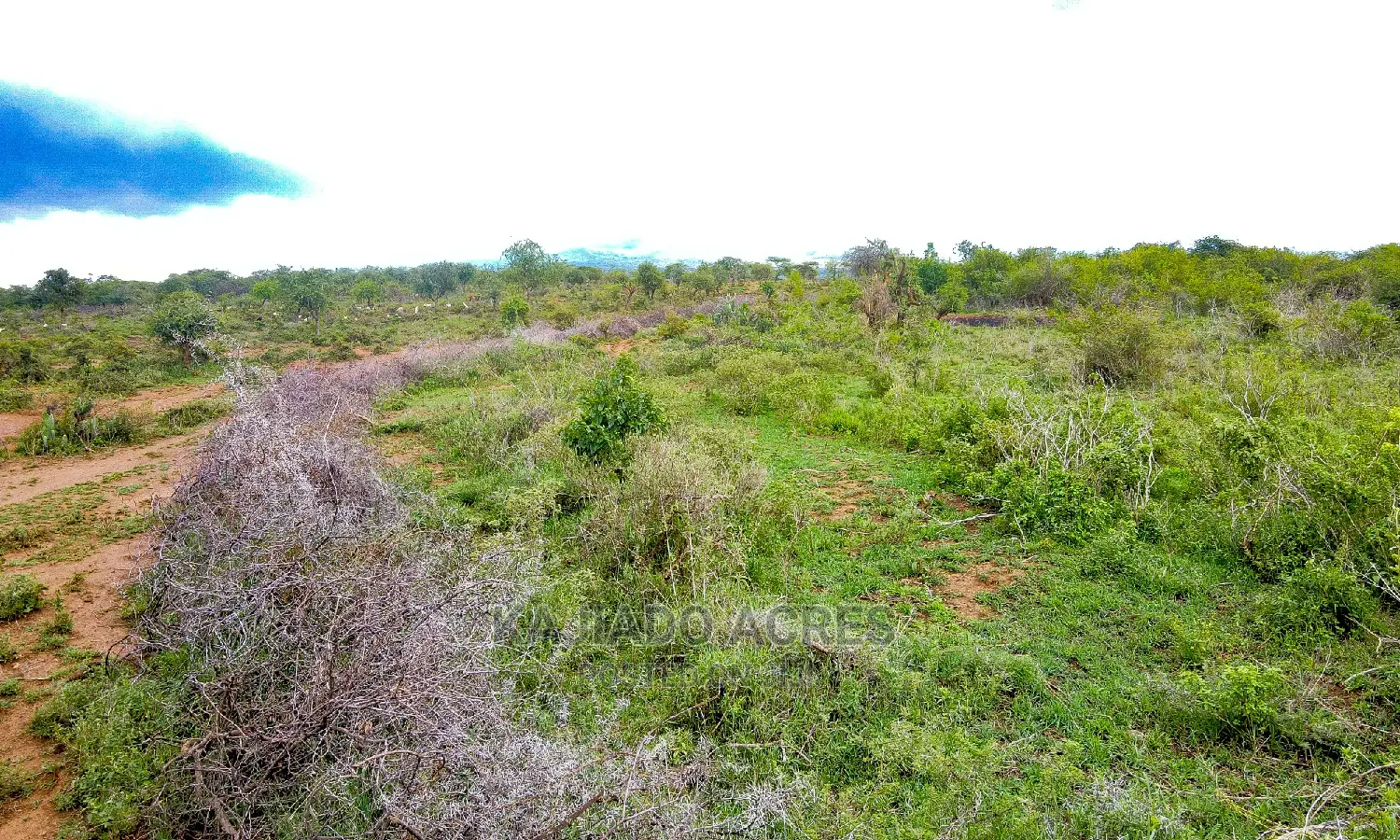 16 Acres of Prime Land for Sale: Lentoko at 450k per Acre in Ewaso Kendong