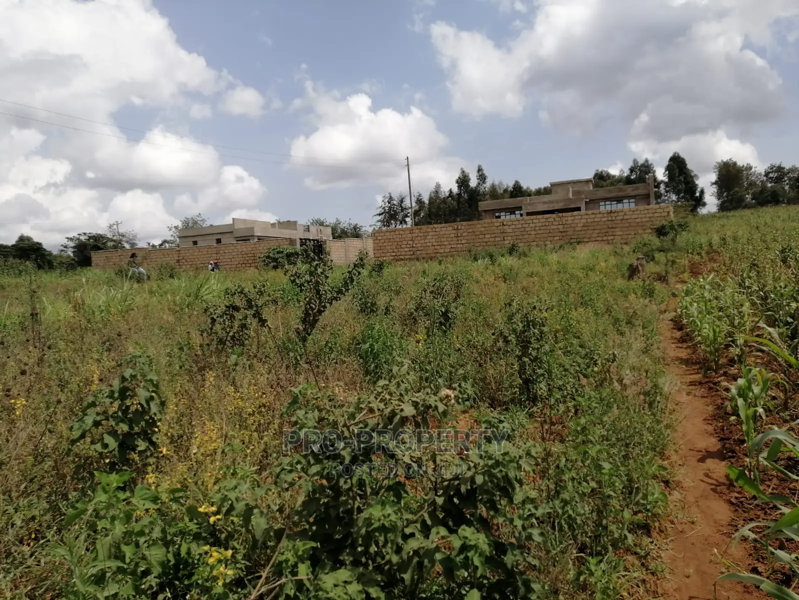 Lusigetti Prime Land - 500m Tarmac Distance - Available for Sale in Karai