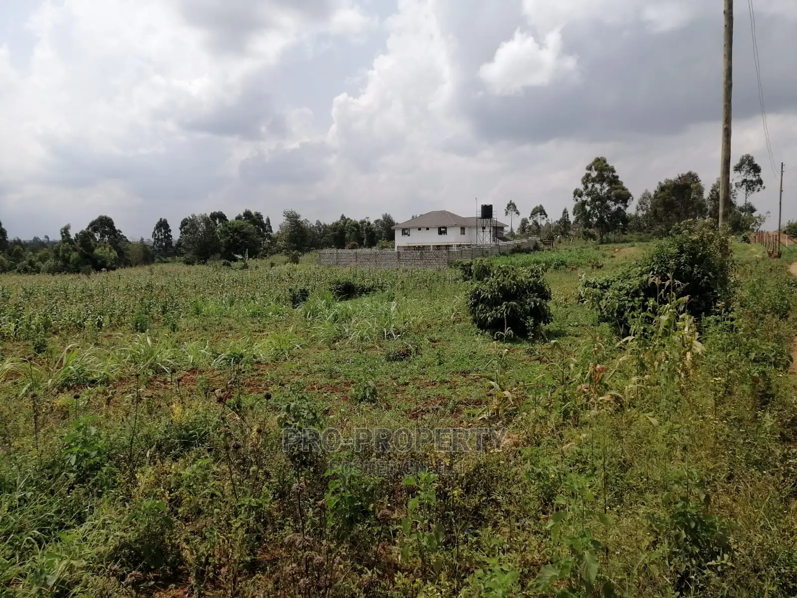 Lusigetti Prime Land - 500m Tarmac Distance - Available for Sale in Karai
