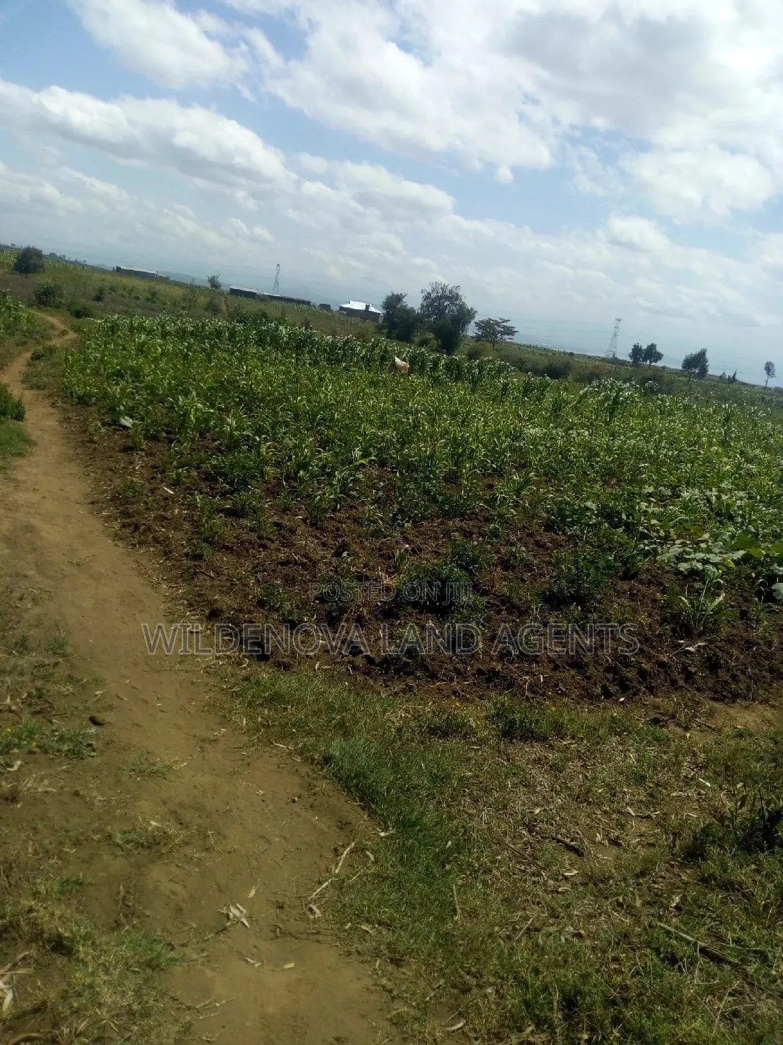 1 Acre Kiambogo, Longonot, Naivasha Land - Scenic Views and Development Potential in Biashara