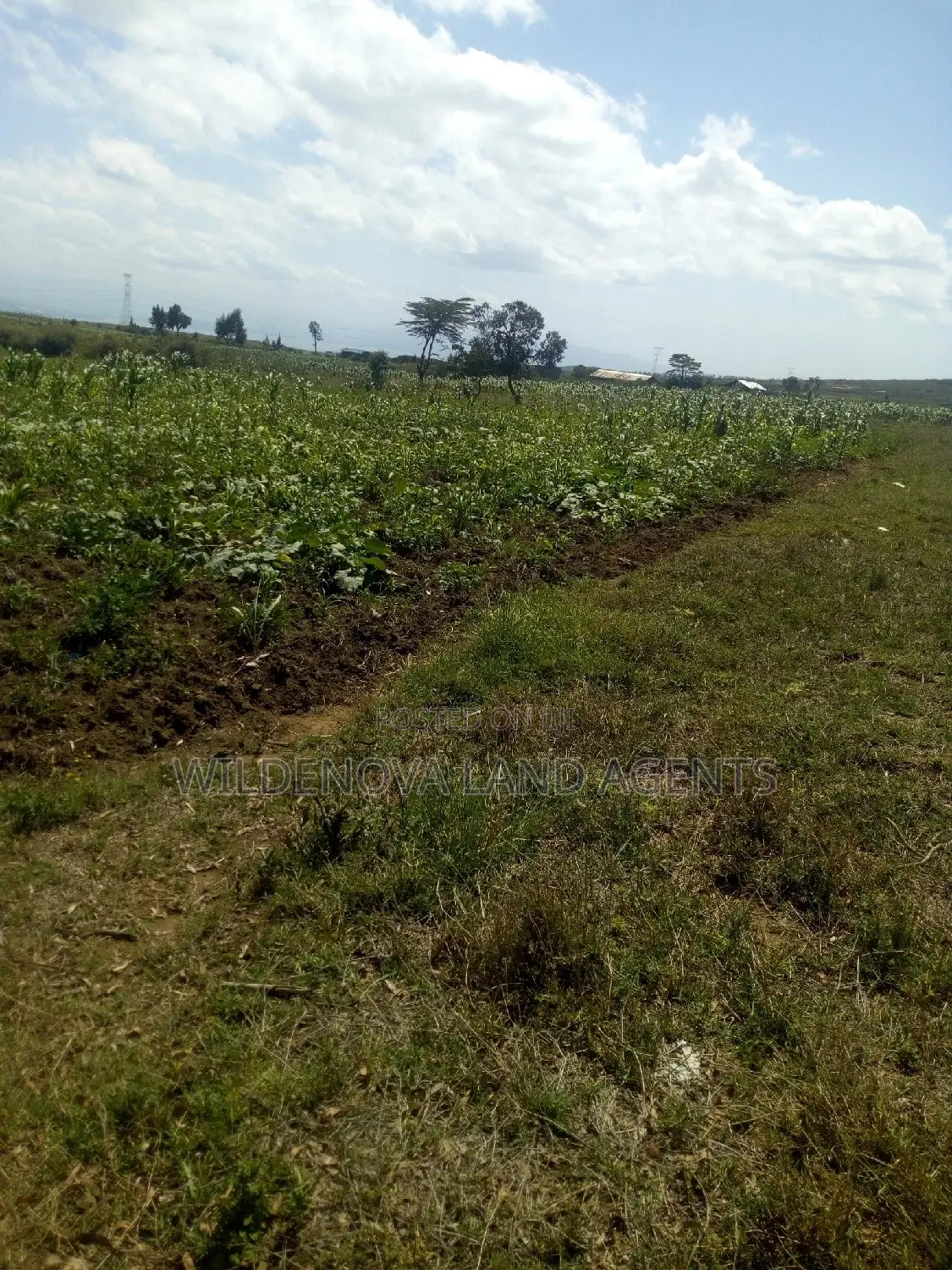 1 Acre Kiambogo, Longonot, Naivasha Land - Scenic Views and Development Potential in Biashara