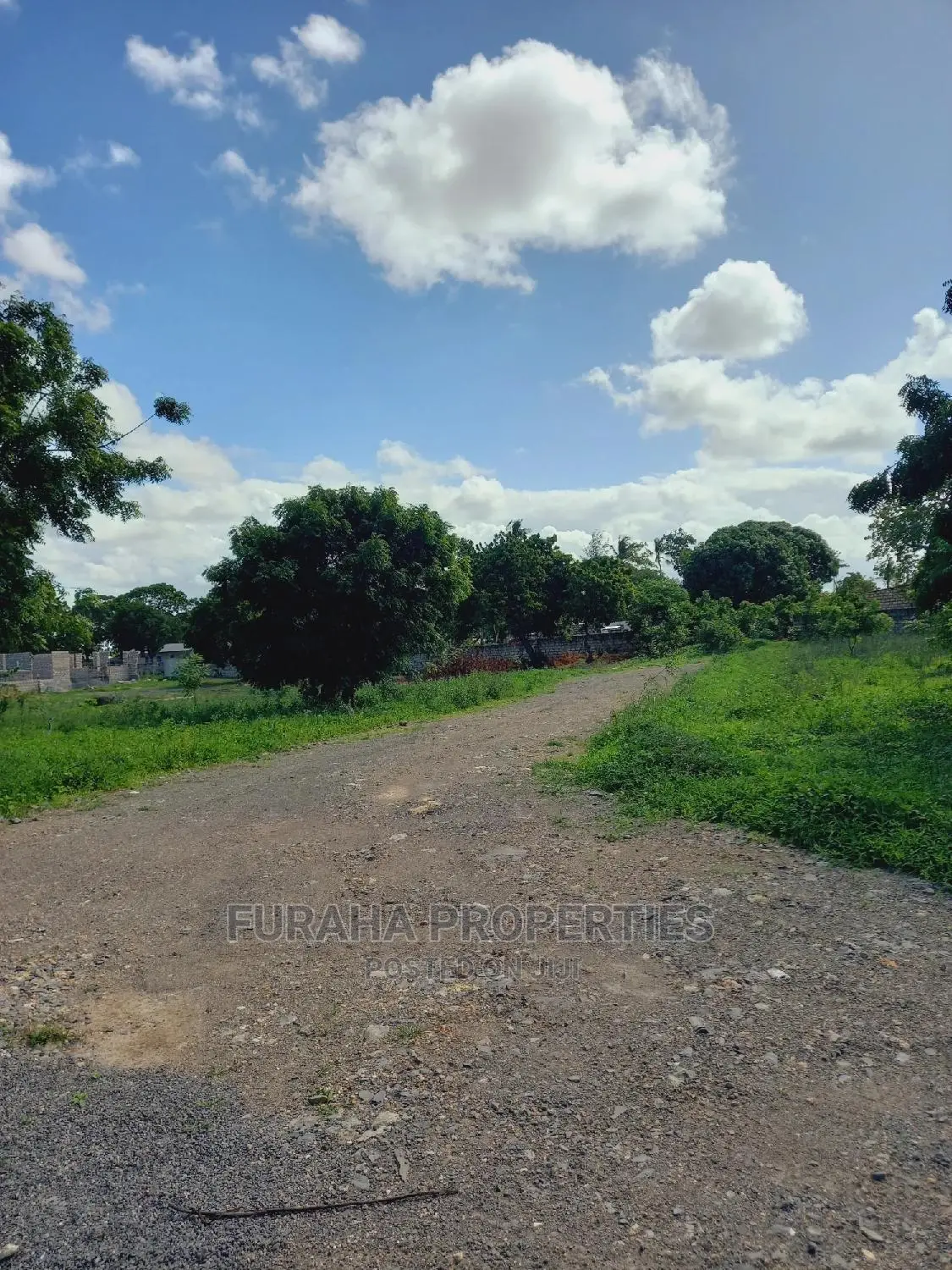 Half Acre Land Plots for Sale in Mtwapa - Don't Miss Out in Mtwapa