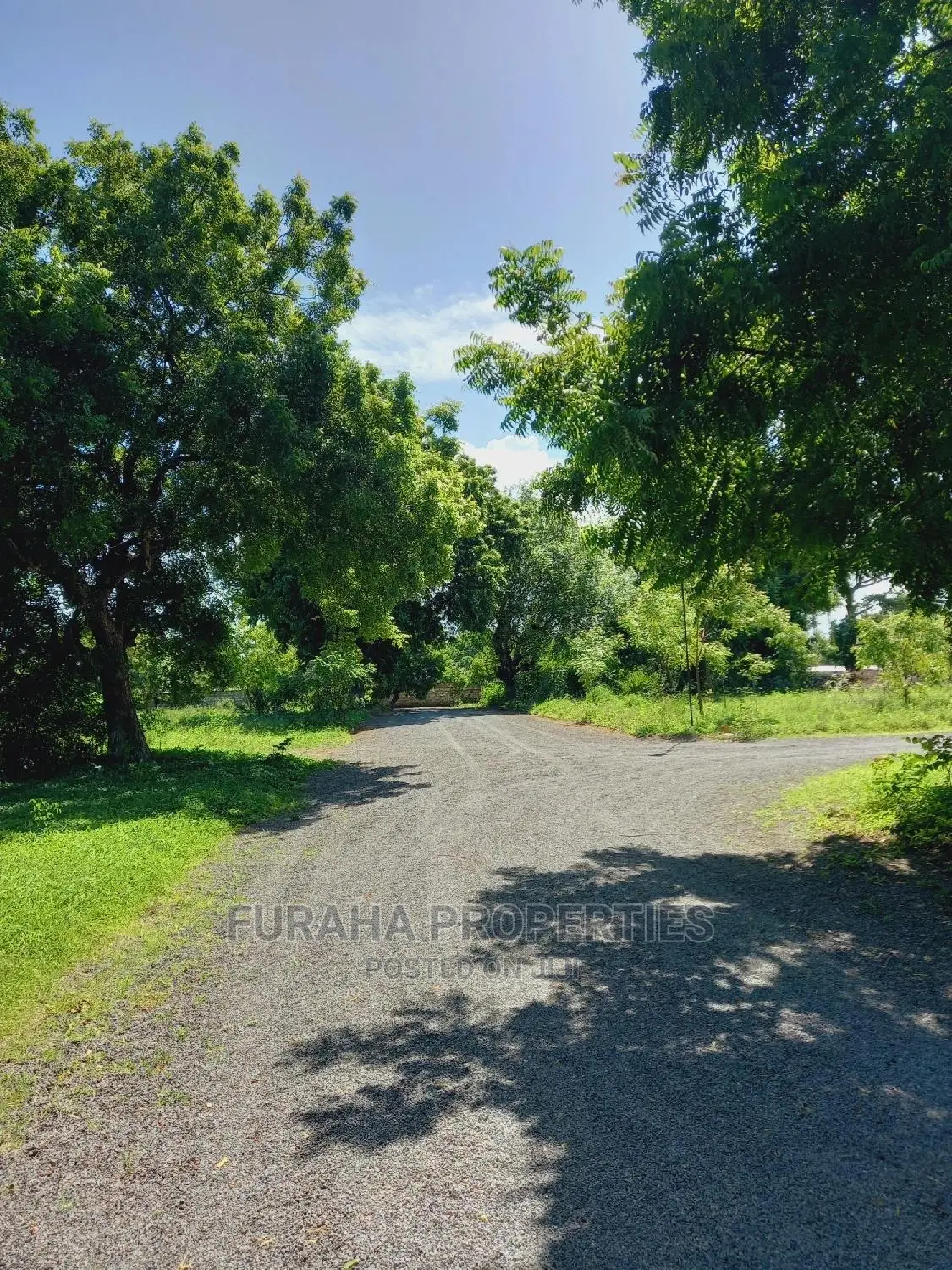Half Acre Land Plots for Sale in Mtwapa - Don't Miss Out in Mtwapa