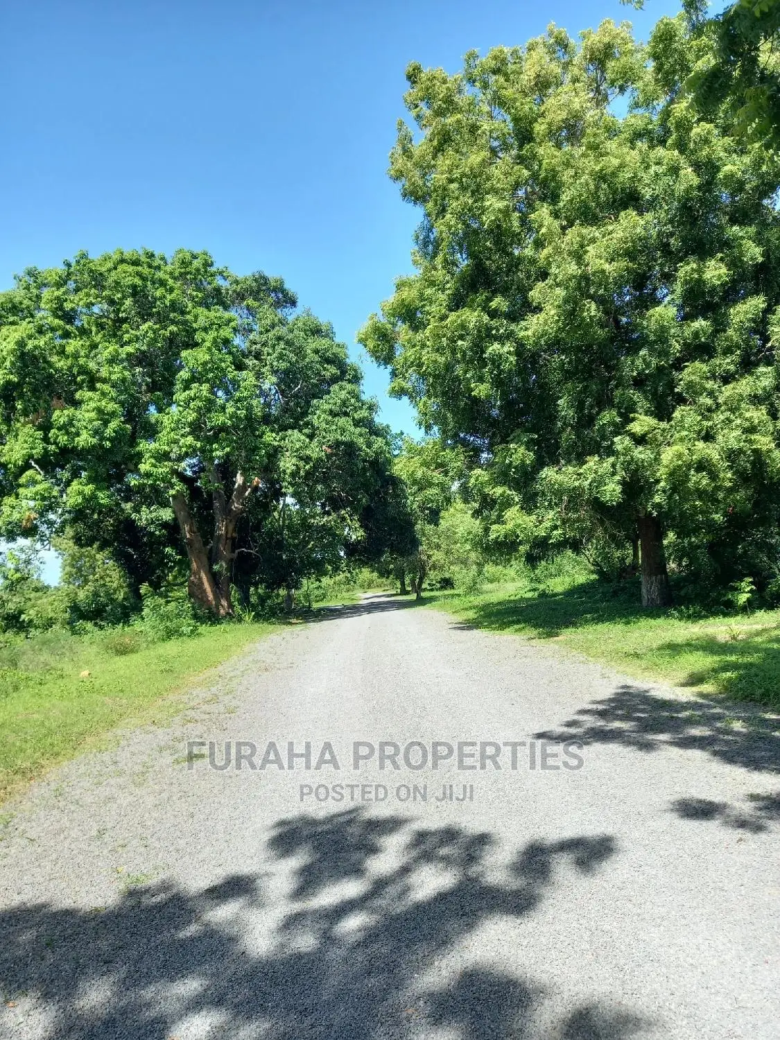 Half Acre Land Plots for Sale in Mtwapa - Don't Miss Out in Mtwapa