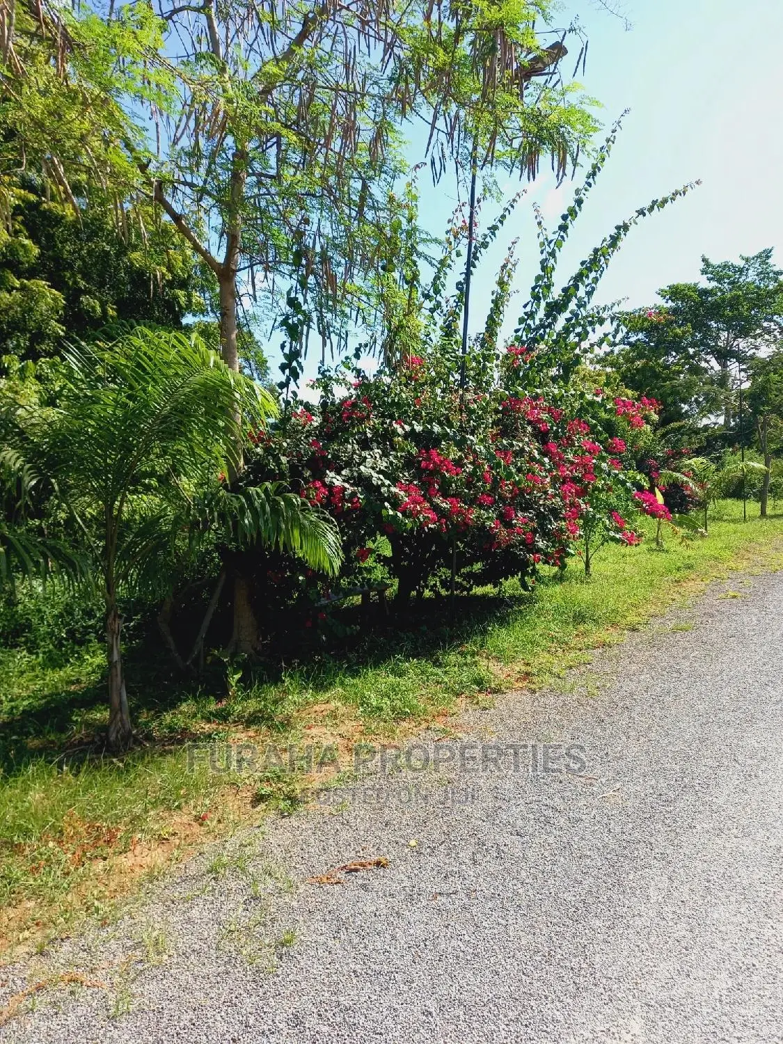 Half Acre Land Plots for Sale in Mtwapa - Don't Miss Out in Mtwapa