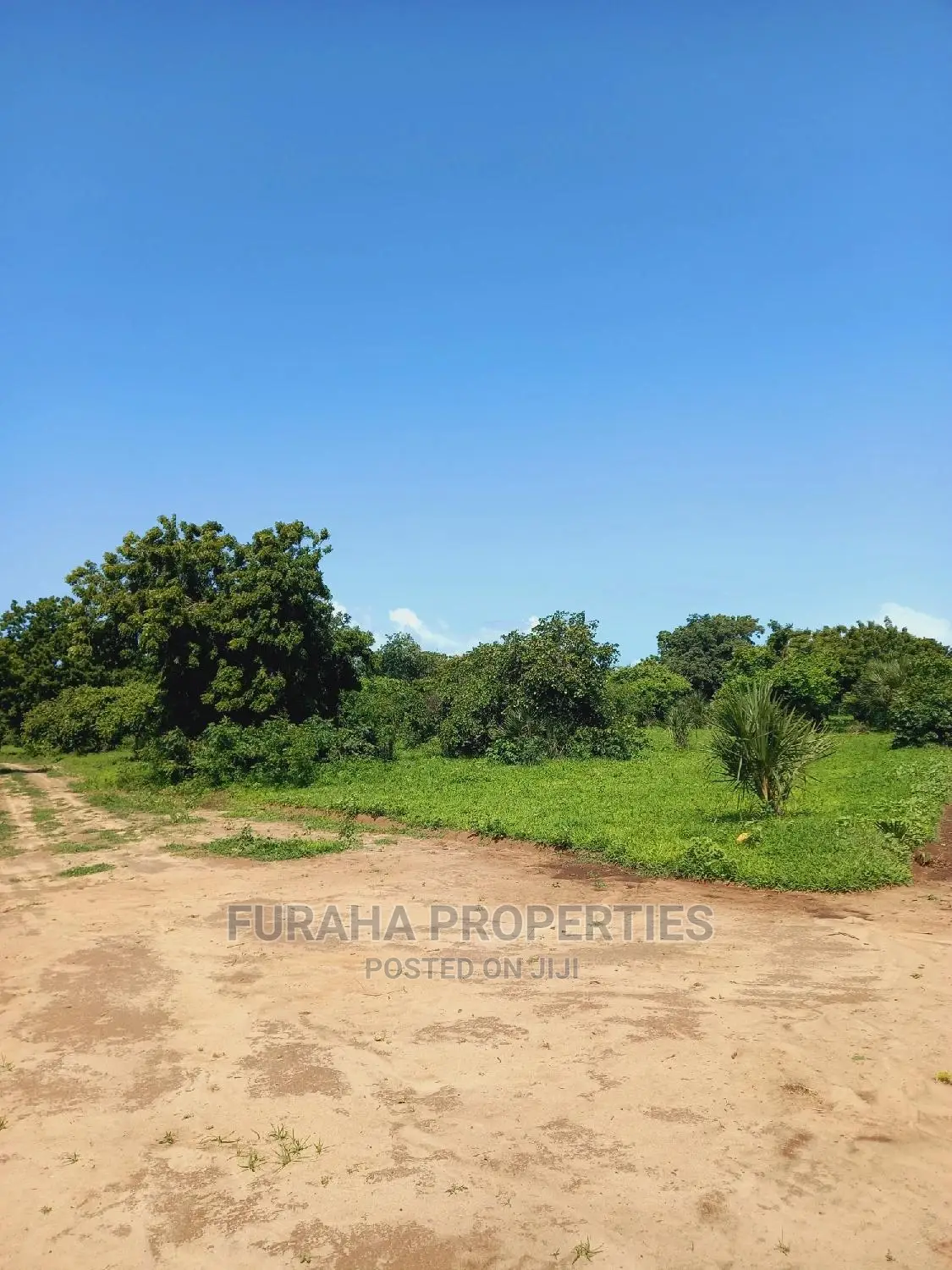 Buy Residential Plots in Vipingo - Prime Location in Vipingo