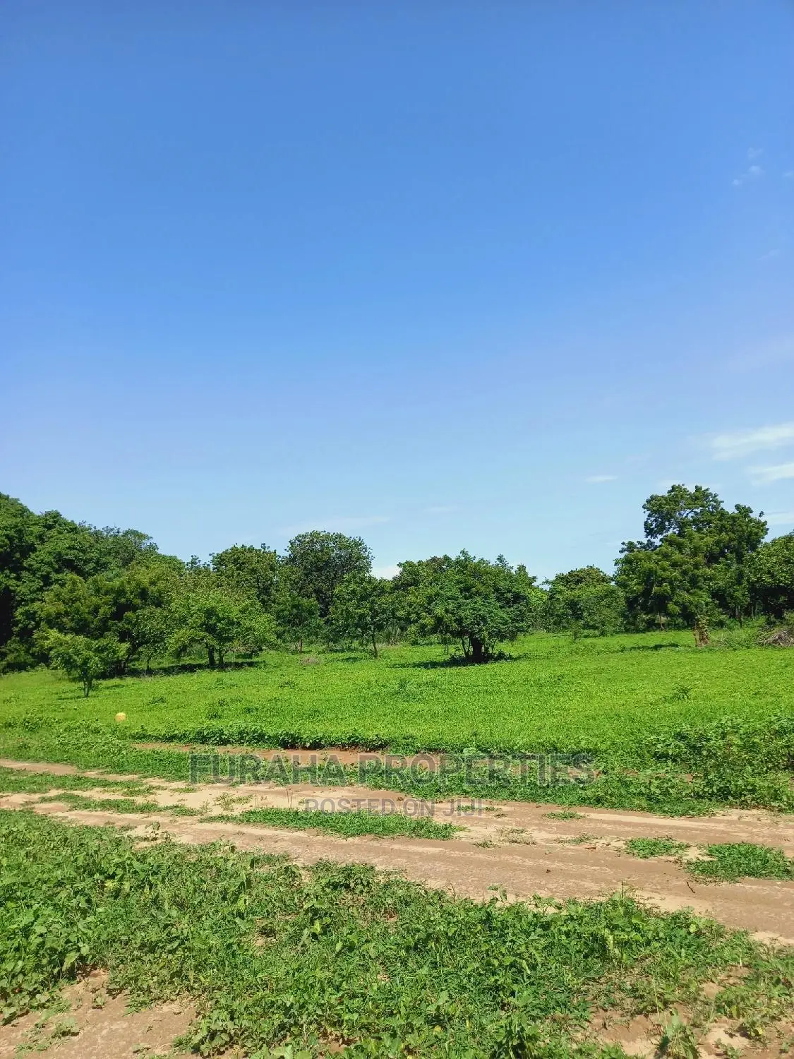 Buy Residential Plots in Vipingo - Prime Location in Vipingo