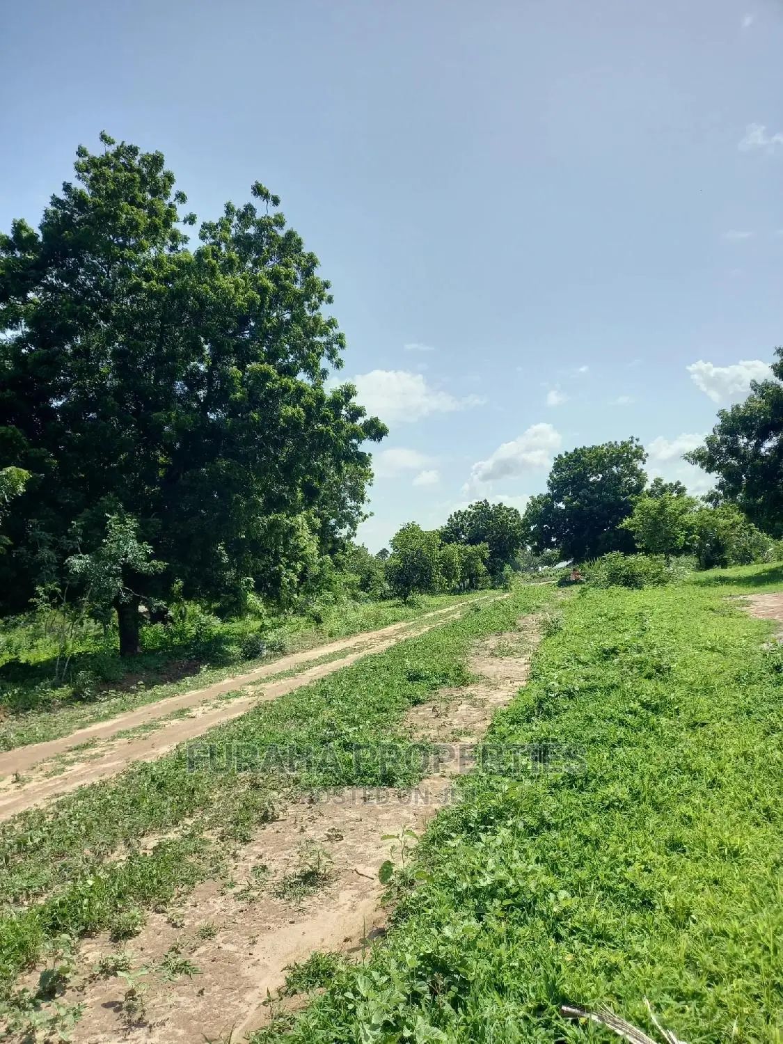 Buy Residential Plots in Vipingo - Prime Location in Vipingo