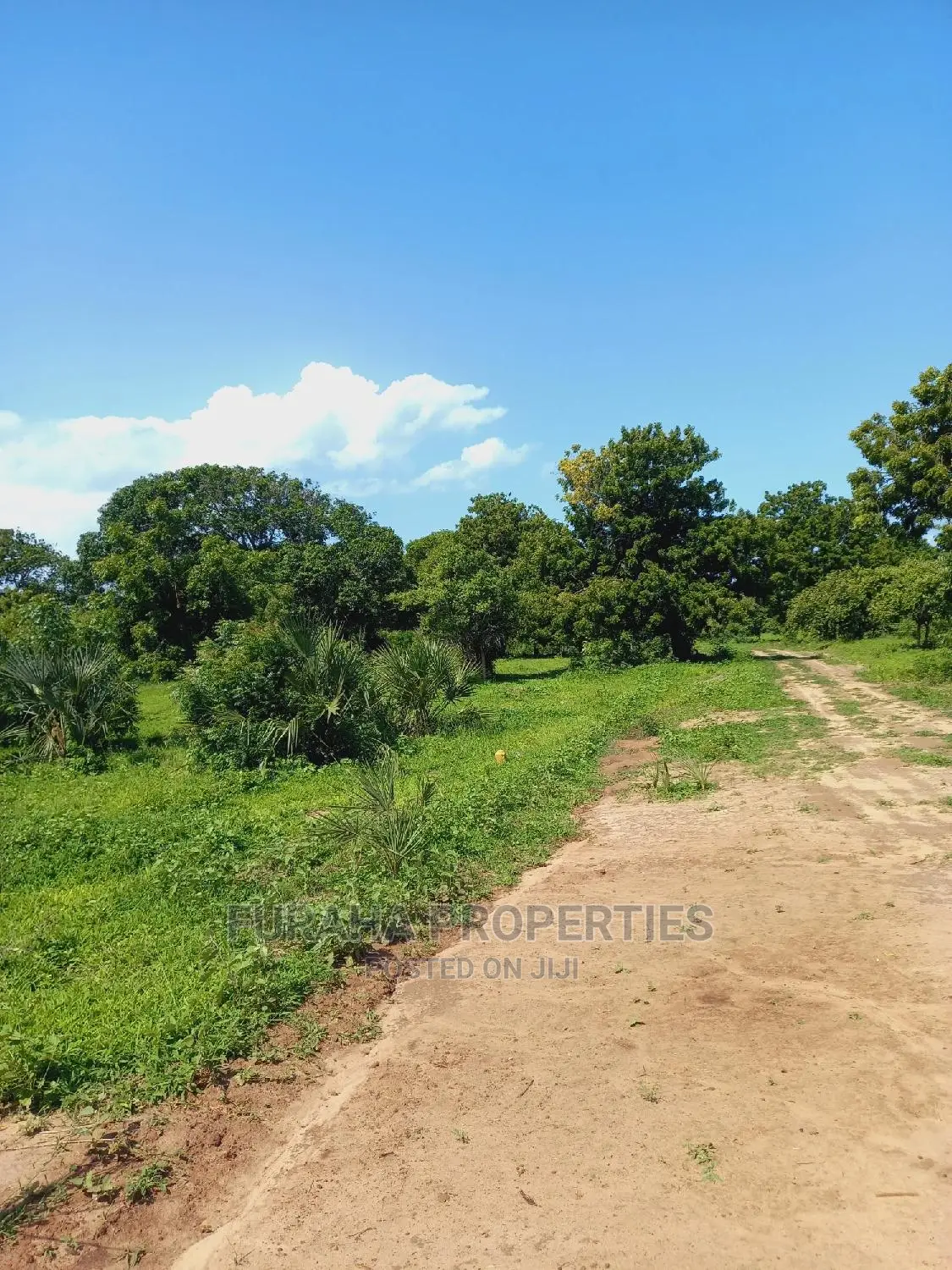 Buy Residential Plots in Vipingo - Prime Location in Vipingo