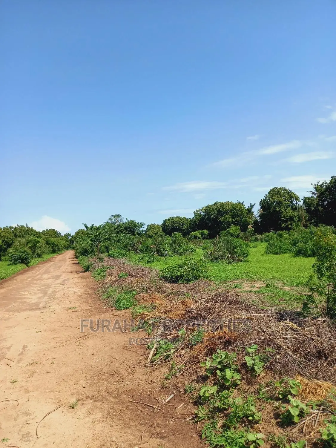 Buy Residential Plots in Vipingo - Prime Location in Vipingo