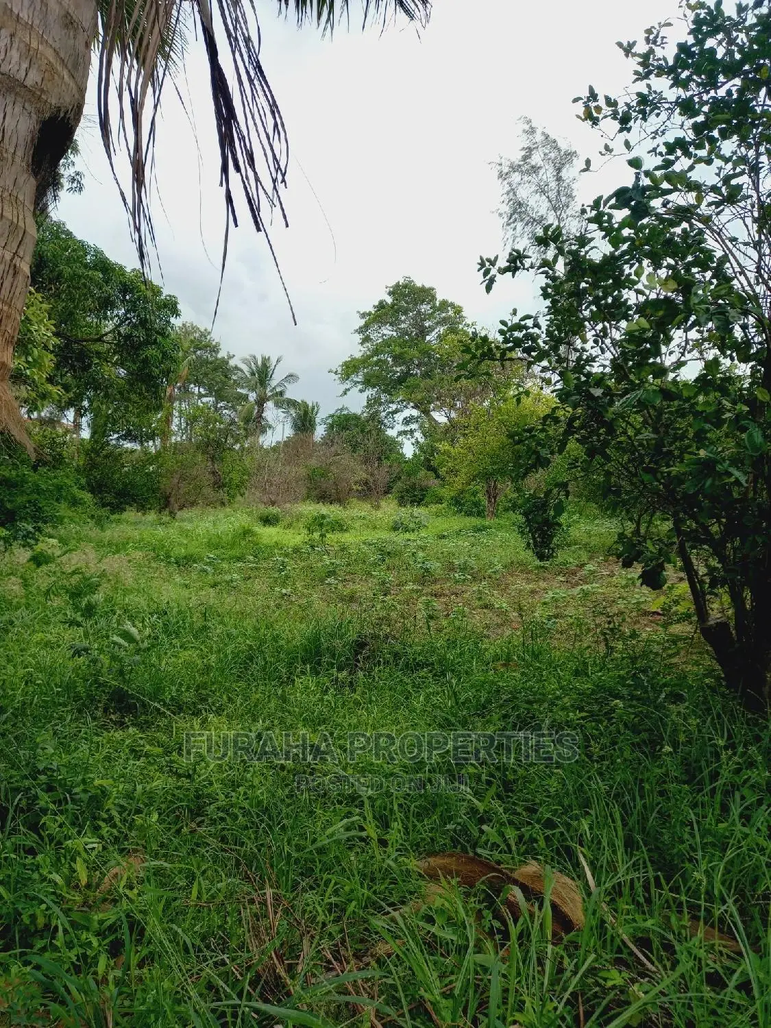 4 Acre Agricultural Land Kikambala - Excellent Investment for Farming or Real Estate in Kikambala