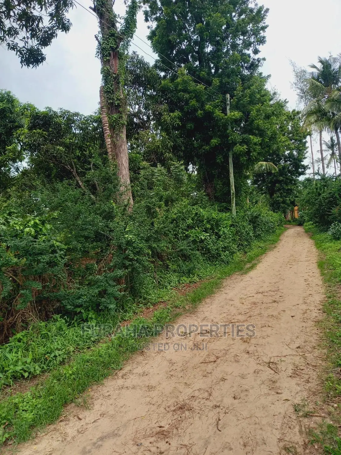4 Acre Agricultural Land Kikambala - Excellent Investment for Farming or Real Estate in Kikambala
