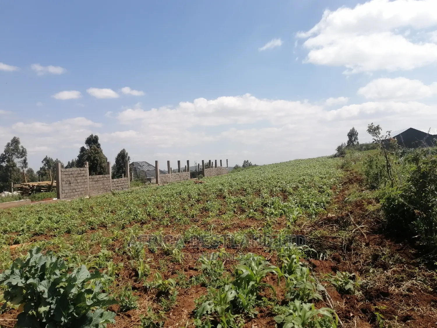 1 Acre Piece of Land for Sale in Limuru Boroti in Limuru