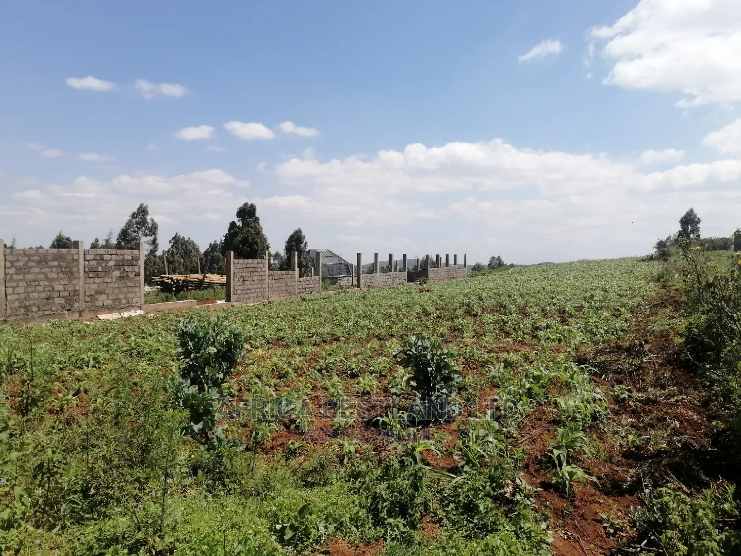 1 Acre Piece of Land for Sale in Limuru Boroti in Limuru