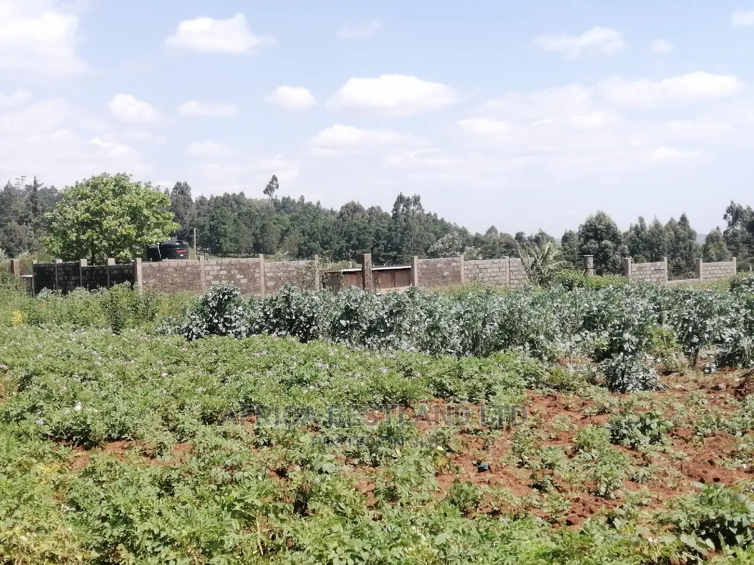 1 Acre Piece of Land for Sale in Limuru Boroti in Limuru