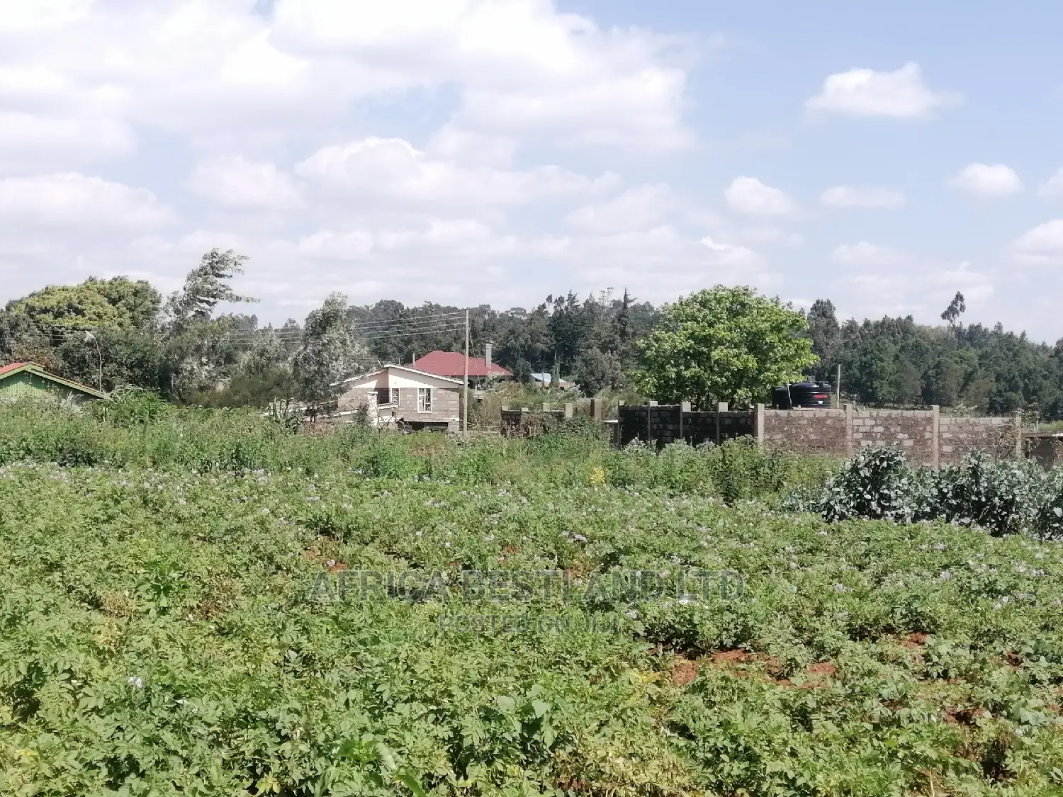 1 Acre Piece of Land for Sale in Limuru Boroti in Limuru