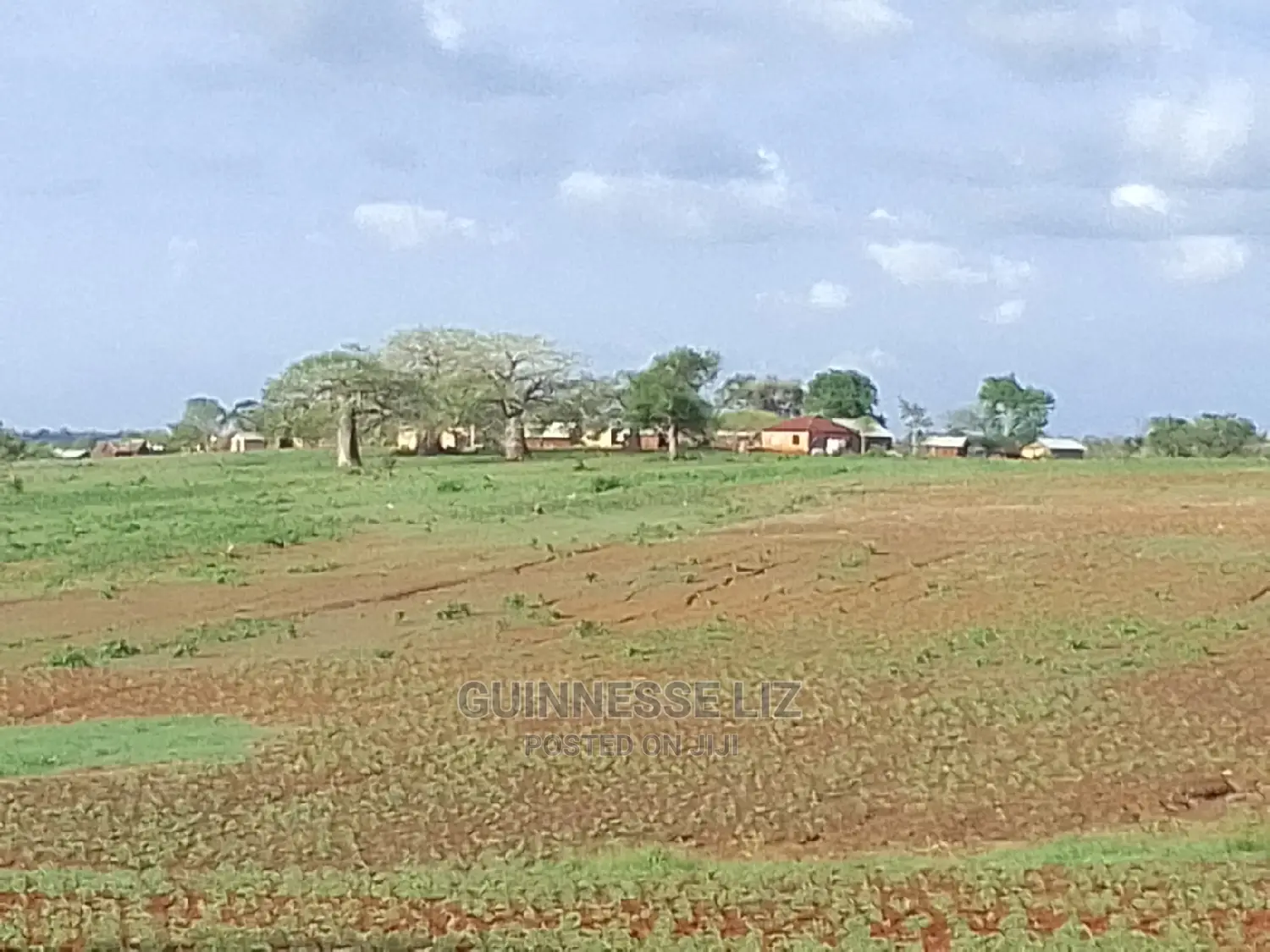 Mavueni Plots: Close Proximity to Ezekiel Church in Chasimba