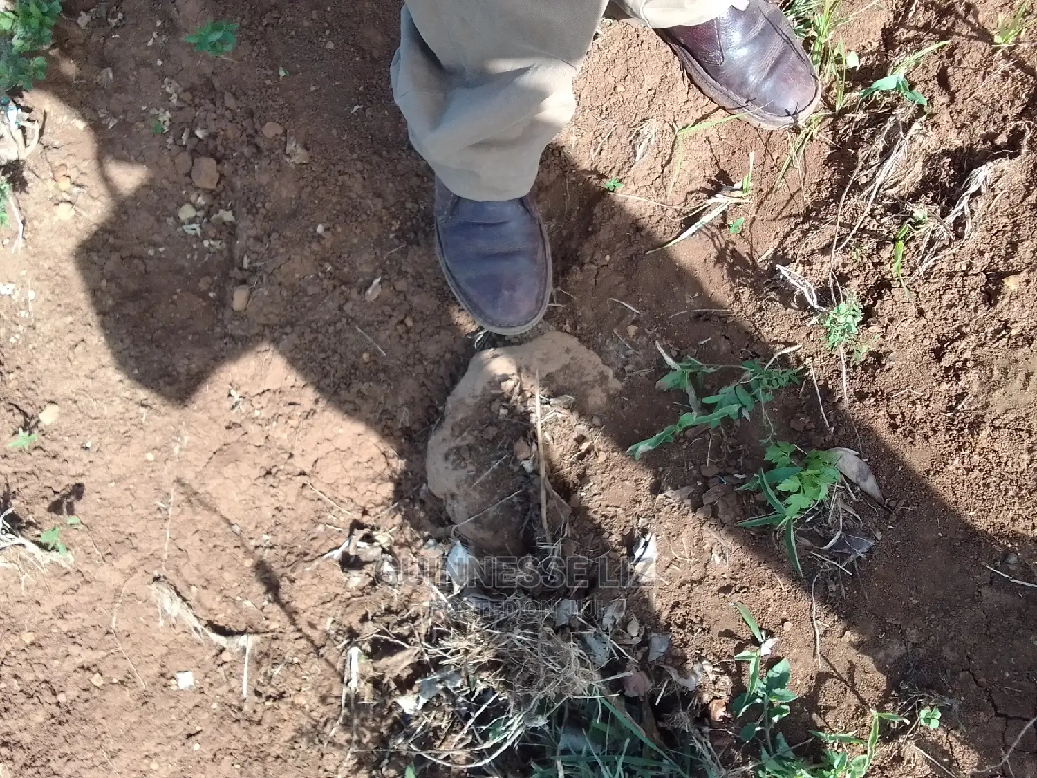Mavueni Plots: Close Proximity to Ezekiel Church in Chasimba