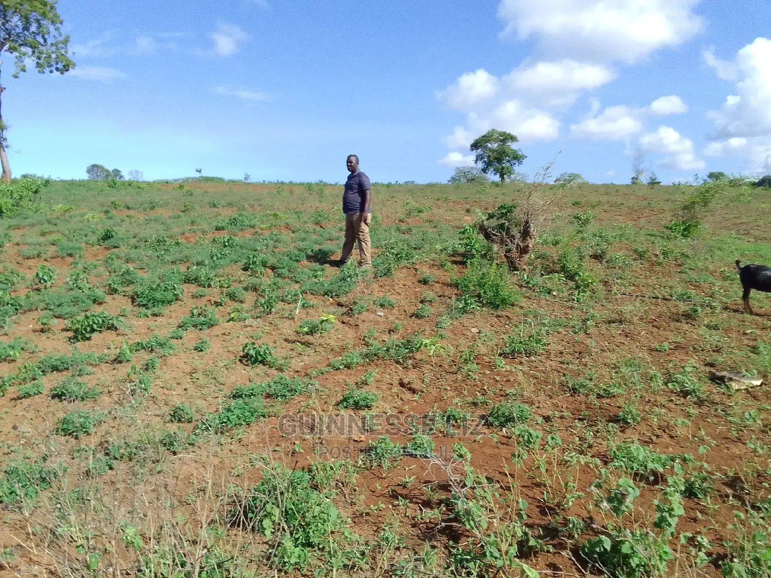 Mavueni Plots: Close Proximity to Ezekiel Church in Chasimba
