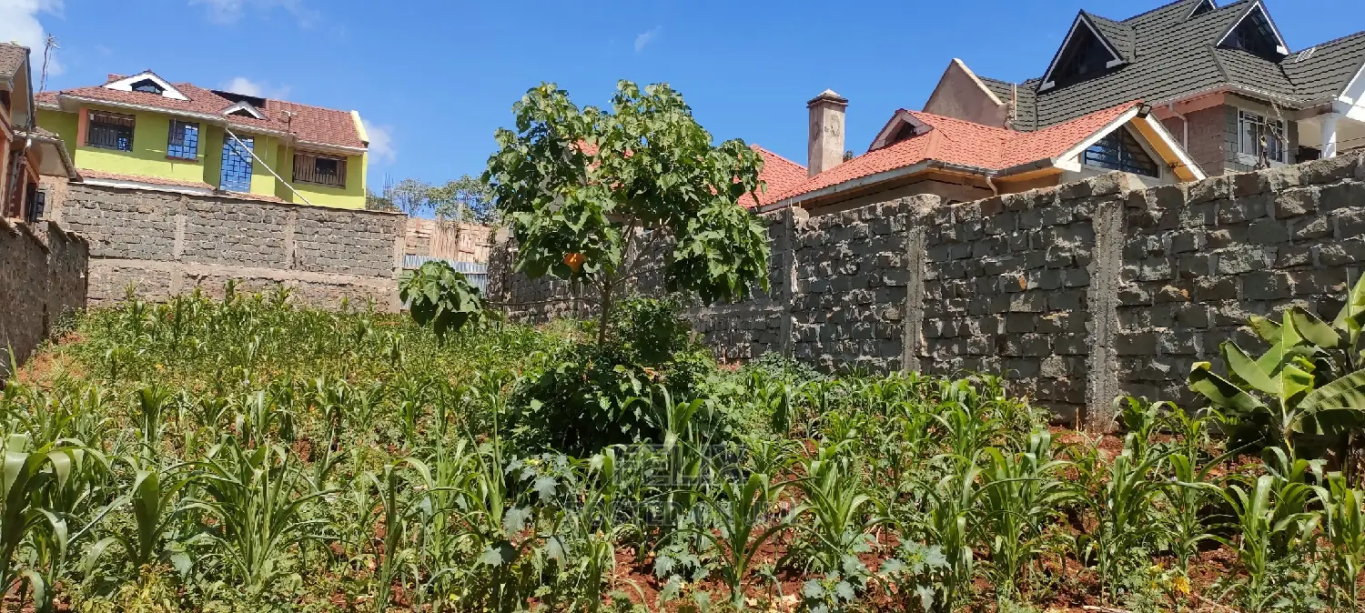 Nyeri/Gatitu Wamburi Drive 50/100 in Nyeri Town