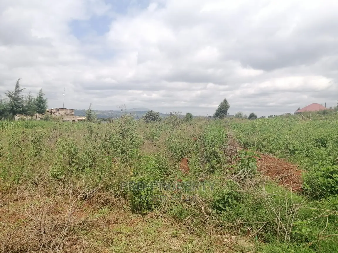 Spacious 50x100ft Residential Land in Migumoini, Kamangu for Sale in Karai