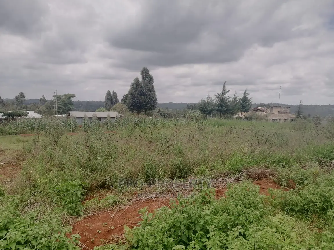 Spacious 50x100ft Residential Land in Migumoini, Kamangu for Sale in Karai