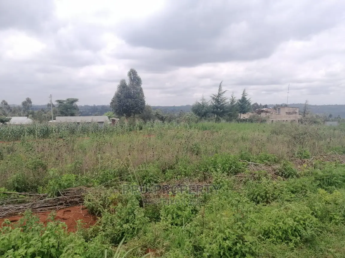 Spacious 50x100ft Residential Land in Migumoini, Kamangu for Sale in Karai