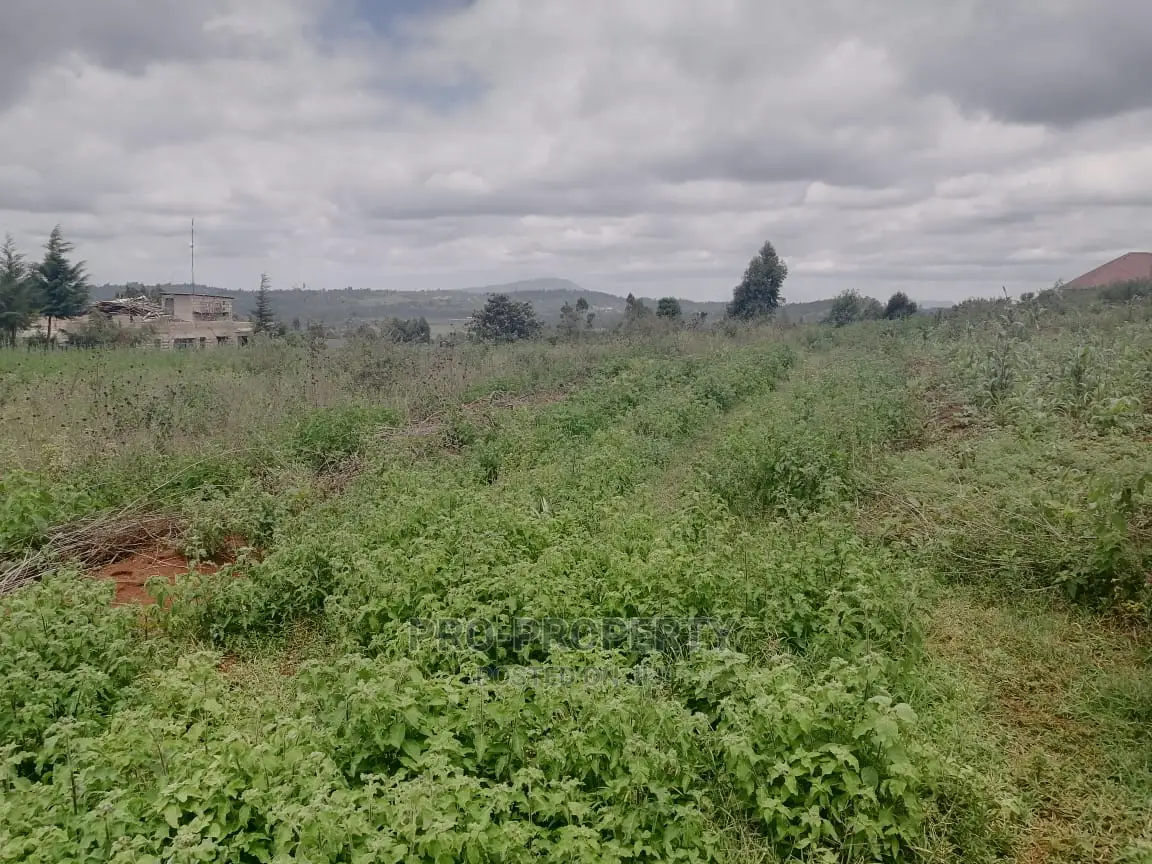 Spacious 50x100ft Residential Land in Migumoini, Kamangu for Sale in Karai
