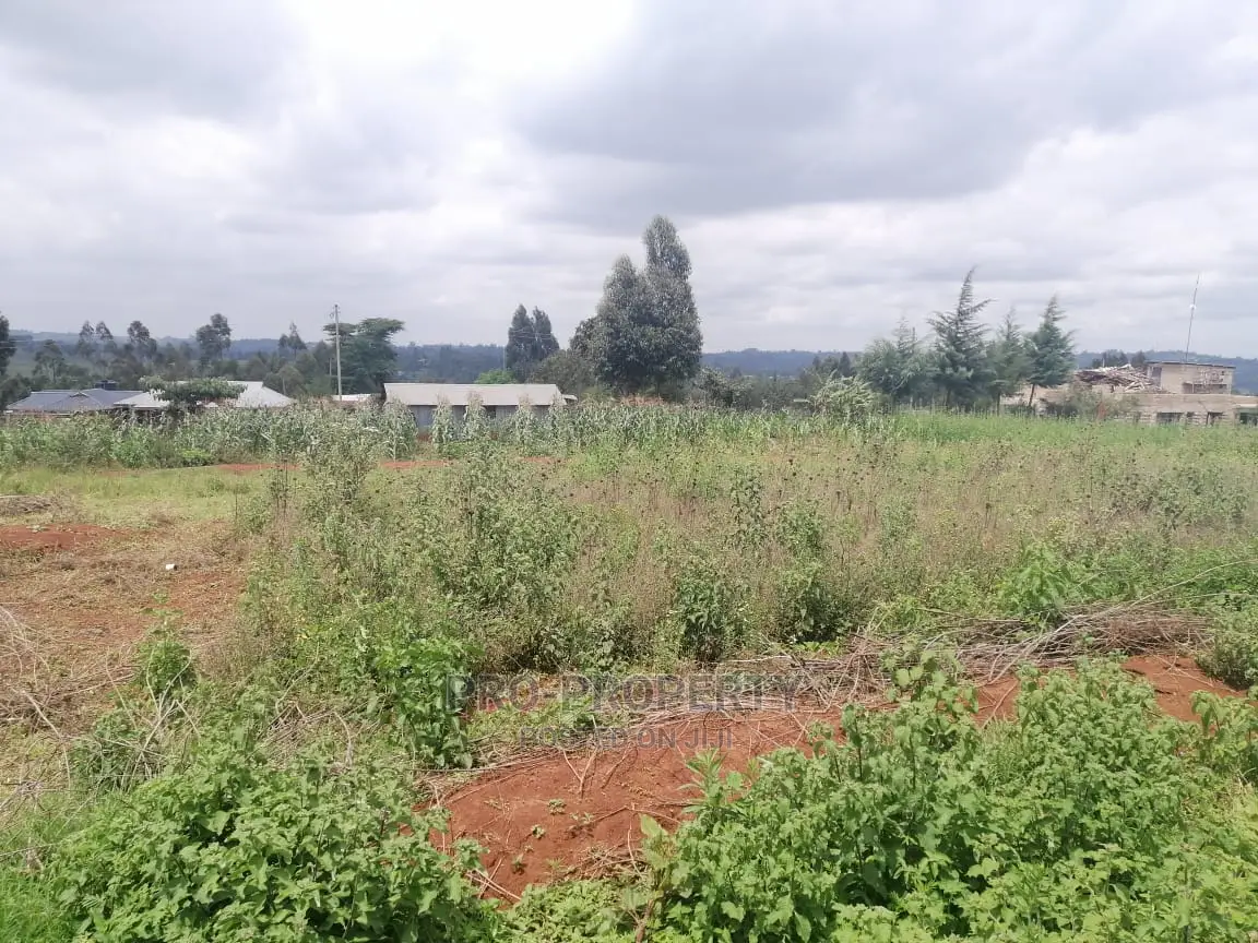 Spacious 50x100ft Residential Land in Migumoini, Kamangu for Sale in Karai