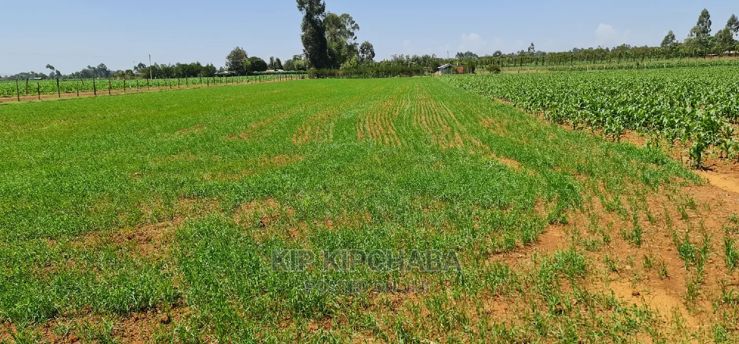 Merewet, Ziwa Road: 1-Acre Land for Sale in Eldoret in Kuinet