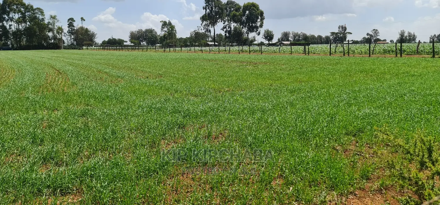 Merewet, Ziwa Road: 1-Acre Land for Sale in Eldoret in Kuinet