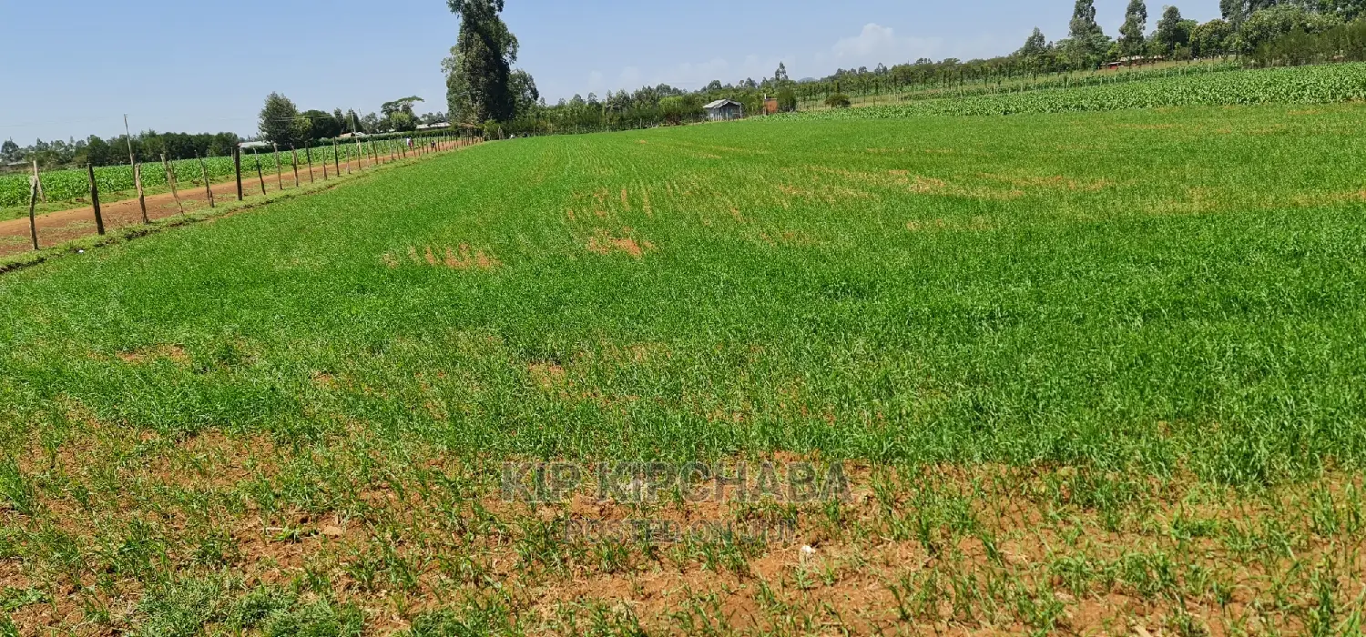 Merewet, Ziwa Road: 1-Acre Land for Sale in Eldoret in Kuinet